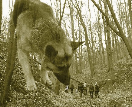 Foto - Ochranný pes - velký pes stojící nad skupinou výletníků v lese (koláž)